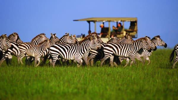 Beyond Rwanda: Continuing Your East African Adventure to Kenya, Tanzania, and Zanzibar
